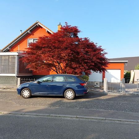 Sonnige Ferienwohnung Bei Familie Koehler カッペル・グラーフェンハウゼン エクステリア 写真